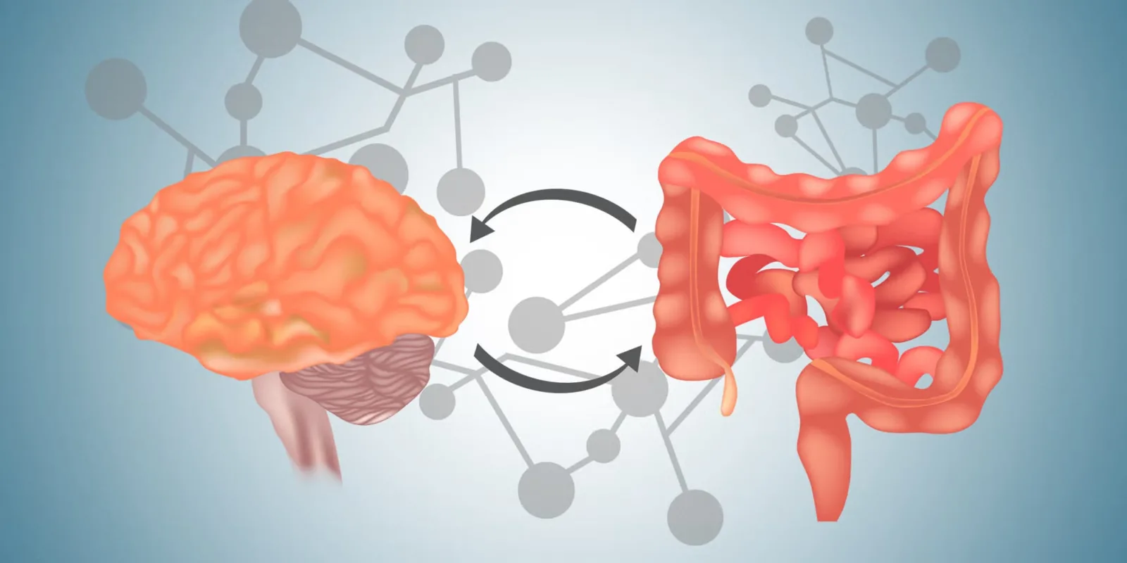 #548 - Έντερο και Εγκέφαλος - Μαρία Γαζούλη