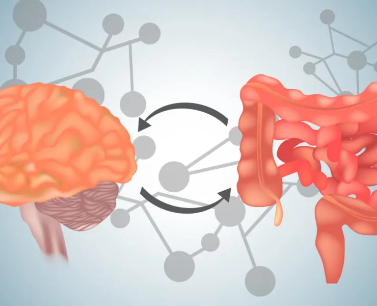 #548 - Έντερο και Εγκέφαλος - Μαρία Γαζούλη